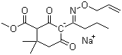 structure of CAS# 55635-13-7, Alloxydim sodium;Alloxydimedon sodium; BAS 9021; Fervin; Kusagard; NP 48; Tritex; 2,2-Dimethyl-4,6-dioxo-5-[1-[(2-propenyloxy)imino]butyl]cyclohexanecarboxylic acid methyl ester, ion(1-), sodium
