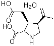 [2S-(2alpha,3beta,4beta)]-2-Carboxy-4-(1-methylethenyl)-3-pyrrolidineacetic acid monohydrate molecular structure (CAS 58002-62-3)