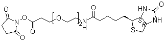 N-[2-[2-[3-[(2,5-Dioxo-1-pyrrolidinyl)oxy]-3-oxopropoxy]ethoxy]ethyl]hexahydro-2-oxo-1H-thieno[3,4-d]imidazole-4-pentanamide molecular structure (CAS 596820-83-6)