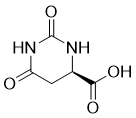 D-Hydroorotic acid molecular structure (CAS 5988-53-4)