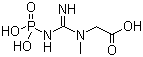 N-(Phosphonoamidino)-sarcosine molecular structure (CAS 67-07-2)