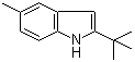 2-tert-Butyl-5-methylindole molecular structure (CAS 69622-41-9)