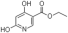 Ethyl 4,6-dihydroxynicotinate molecular structure (CAS 6975-44-6)