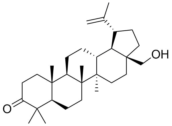 Betulone molecular structure (CAS 7020-34-0)