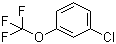 3-(Trifluoromethoxy)chlorobenzene molecular structure (CAS 772-49-6)