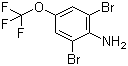 2,6-Dibromo-4-(trifluoromethoxy)aniline molecular structure (CAS 88149-49-9)