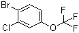 1-Bromo-2-chloro-4-(trifluoromethoxy)benzene molecular structure (CAS 892845-59-9)