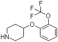 4-[2-(Trifluoromethoxy)phenoxy]piperidine molecular structure (CAS 902836-49-1)
