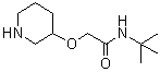 N-叔丁基-2-(3-哌啶基氧基)乙酰胺分子结构 (CAS 902836-73-1)