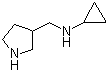 N-Cyclopropyl-3-pyrrolidinemethanamine molecular structure (CAS 91187-89-2)