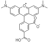 5-Carboxytetramethylrhodamine molecular structure (CAS 91809-66-4)
