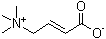 Crotonobetaine molecular structure (CAS 927-89-9)