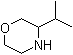 3-(1-Methylethyl)morpholine molecular structure (CAS 927802-40-2)