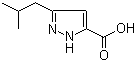 3-异丁基-1H-吡唑-5-羧酸分子结构 (CAS 92933-49-8)