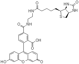 结构式 CAS# 957494-27-8, 5-[[[2-[[5-[(3aS,4S,6aR)-六氢-2-氧代-1H-噻吩并[3,4-d]咪唑-4-基]-1-氧代戊基]氨基]乙基]氨基]羰基]-2-(6-羟基-3-氧代-3H-氧杂蒽-9-基)苯甲酸