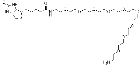 结构式 CAS# 960132-48-3, O-(2-氨基乙基)-O'-[2-(生物素基氨基)乙基]八聚乙二醇